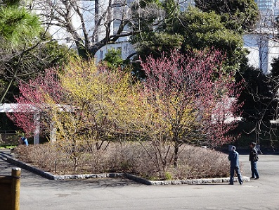 写真：清水門広場