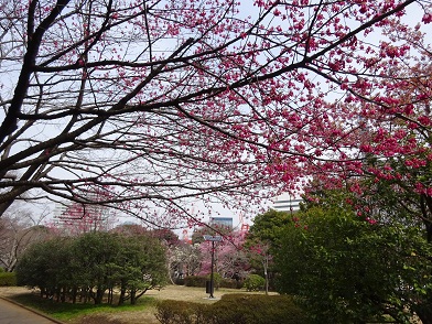 写真：花木園