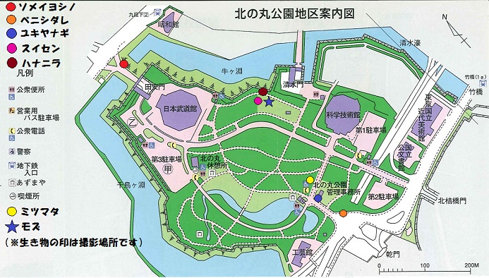 図：北の丸公園地区案内図