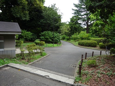 写真：日本武道館から清水門に向かう外周園路（武道館南側の公衆トイレ付近）