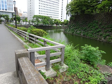 写真：清水濠