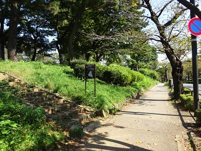 写真：千鳥ヶ淵堤塘の階段