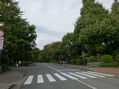 写真：北の丸公園（乾門口）