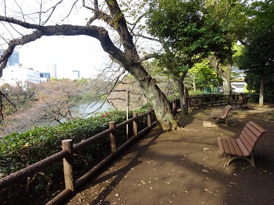 写真：展望園地のベンチ