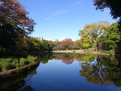 写真：池に映る碧い空と紅葉