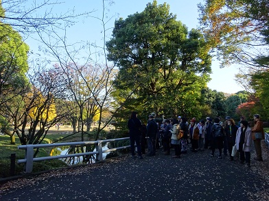 写真：紅葉解説