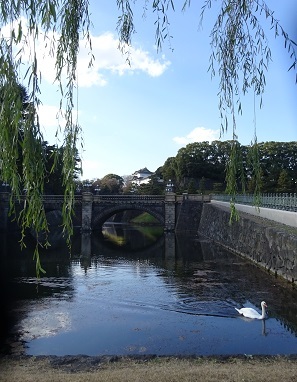 写真：皇居外苑