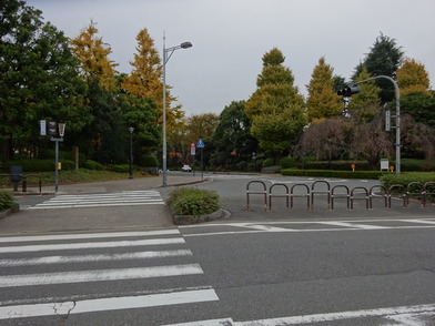 写真：乾門前の北の丸公園入口の様子