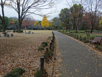 写真：ベンチ