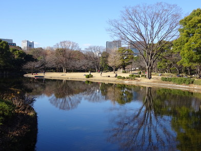 写真：北の丸公園冬景色