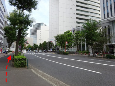 写真：千代田区役所庁舎の向かい側の歩道（内堀通り）