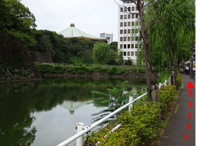 写真：清水橋付近の歩道（内堀通り）の様子