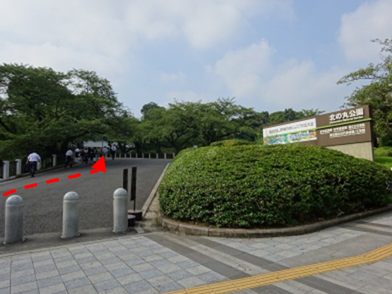 北の丸公園（田安門口）の急な上り坂の坂道を写した写真です