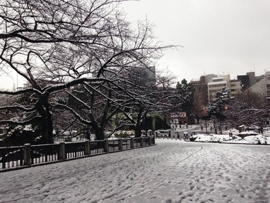 雪の田安門外通り