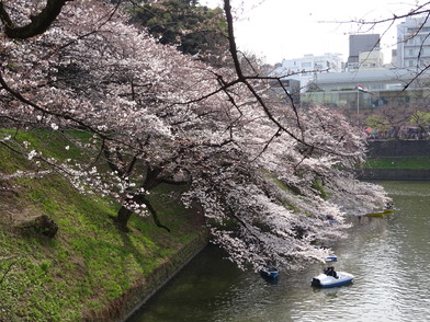 田安門外千鳥ヶ淵