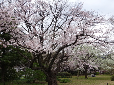 花木園