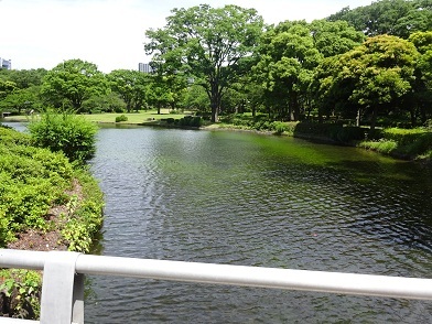 中の池の様子