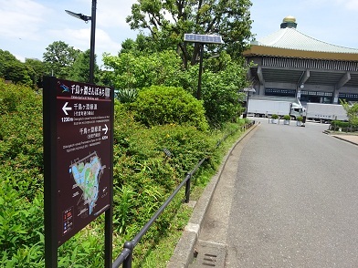 千鳥ヶ淵さんぽ道看板の写真