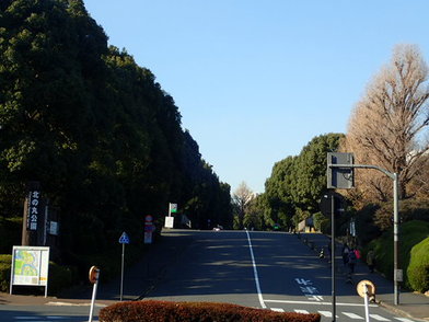 北の丸公園の南側に位置する北桔橋門口（きたはねばしもんぐち）の様子を、千代田区道（代官町通り）をはさんで向かい側にある「皇居北桔橋門」側の歩道から撮影した写真です。