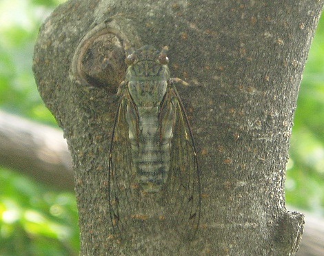 環境省 バックナンバー13 環境省 バックナンバー13