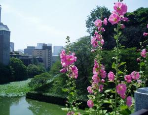 環境省 夏の花