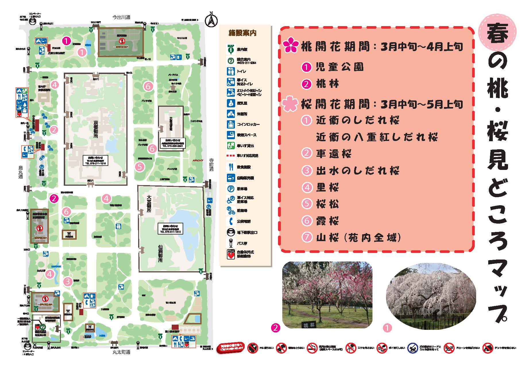 画像：桃・桜見どころマップ／ＪＰＧ