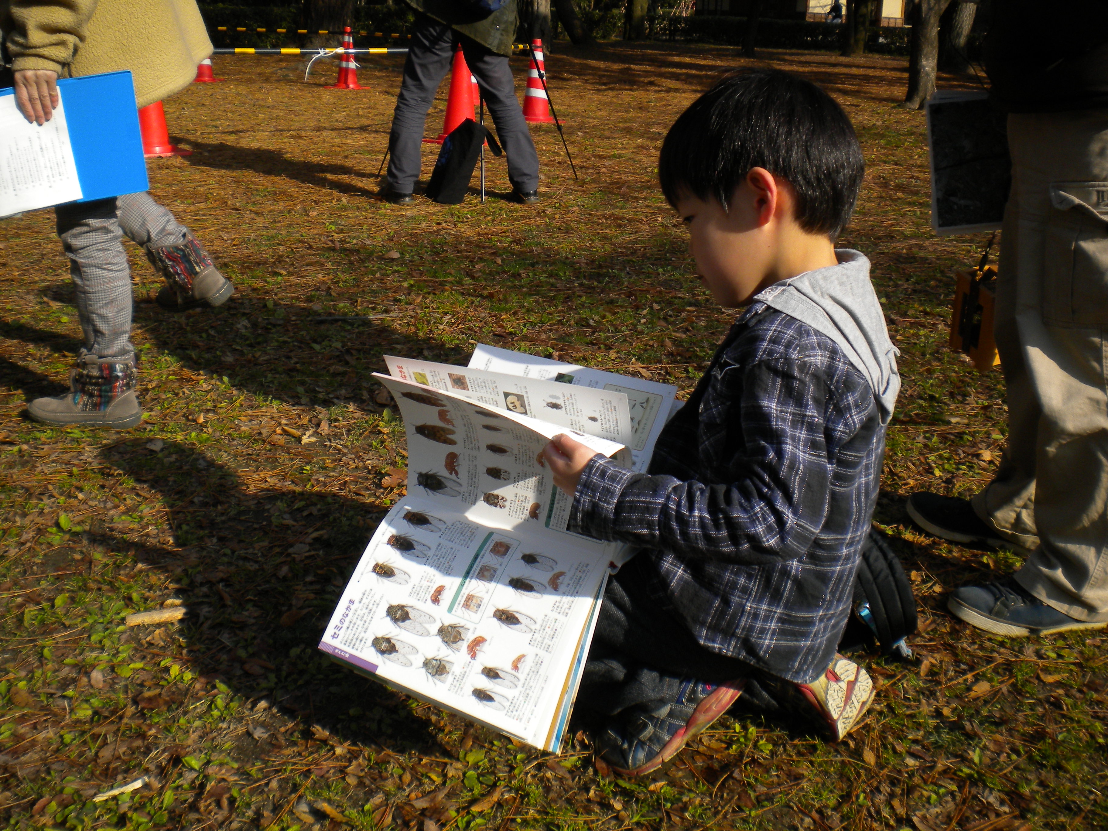 写真：早々に図鑑を調べる子供