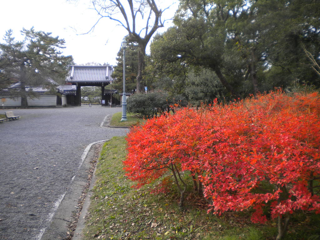写真：閑院宮邸跡付近の苑路