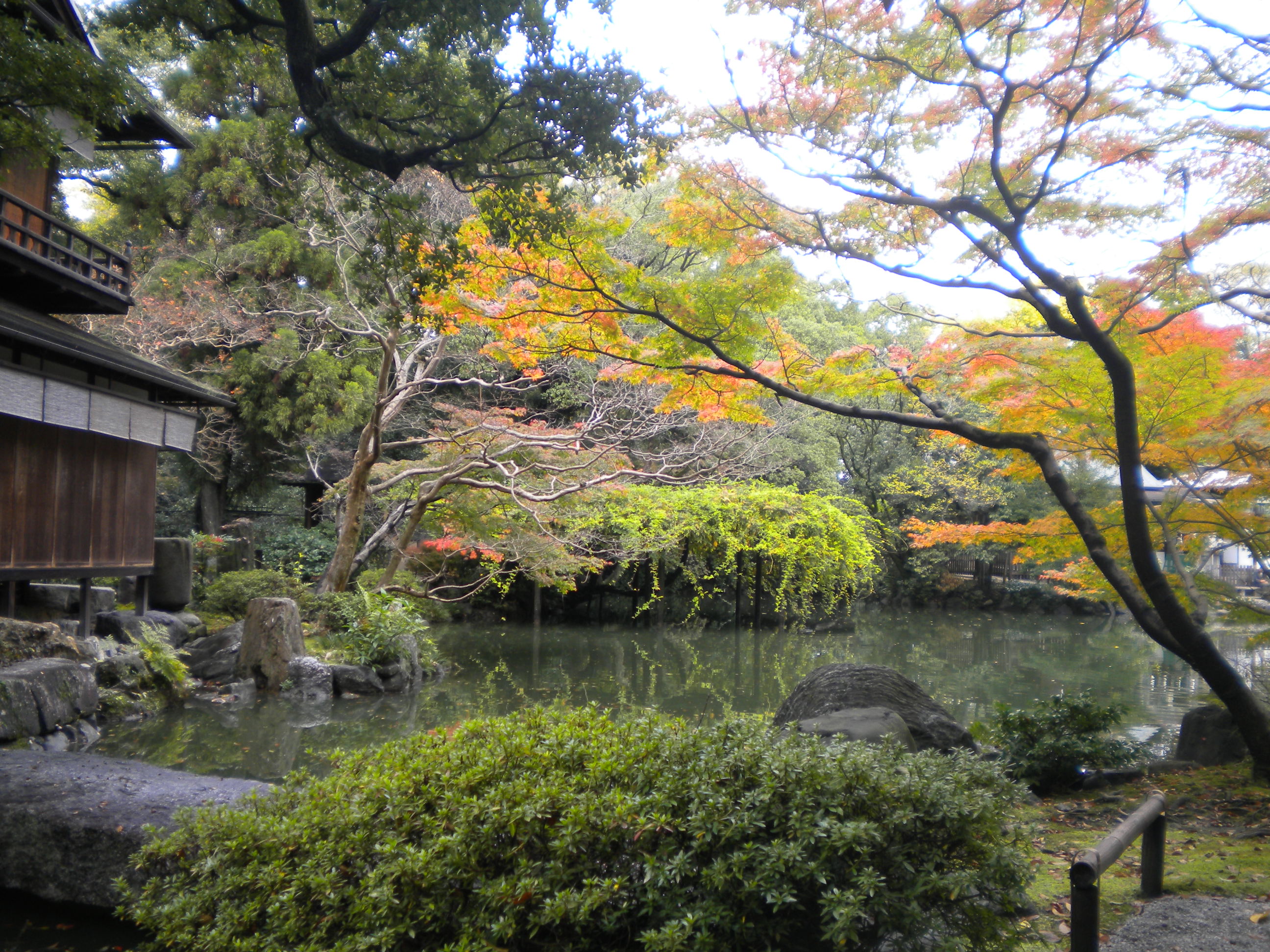 写真：九條家の遺構「拾翠亭」の紅葉