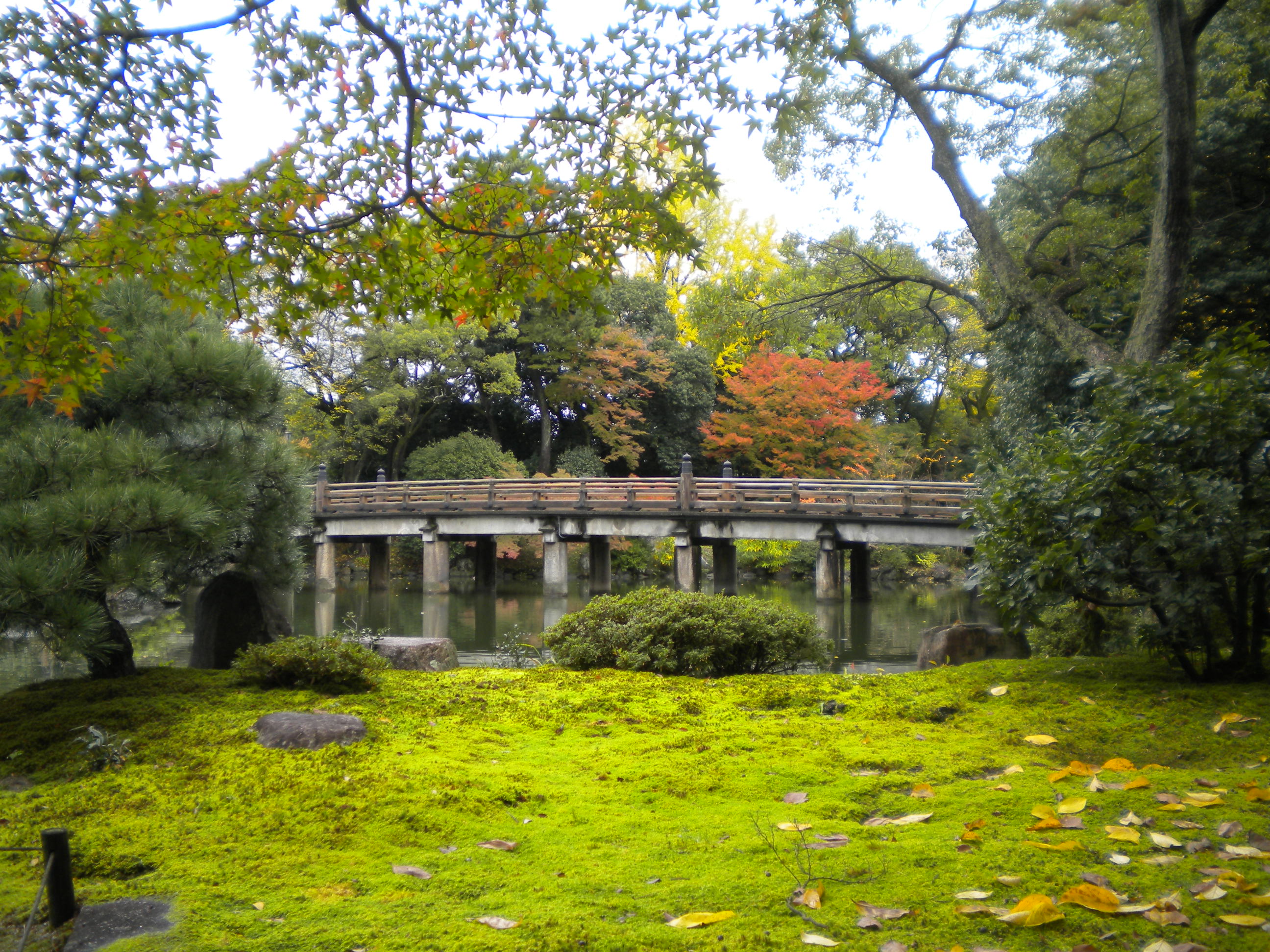 写真：拾翠亭の紅葉②