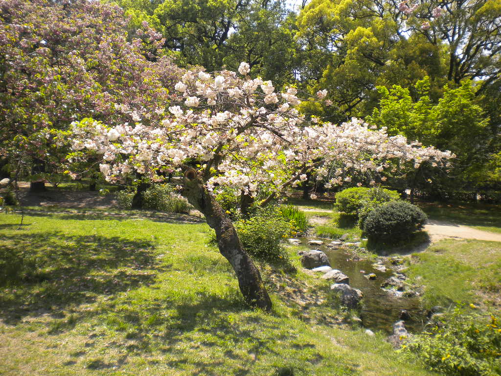 写真：松月①