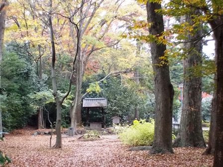 写真：縣井