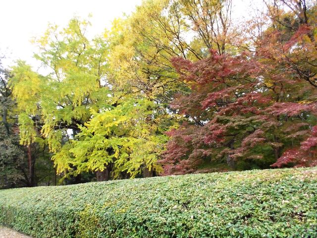 写真：母と子の森