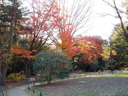 写真：閑院宮邸跡付近