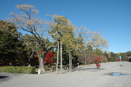写真：京都御所西側