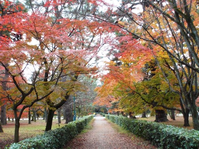 写真：凝華洞跡