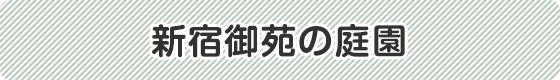 新宿御苑の庭園