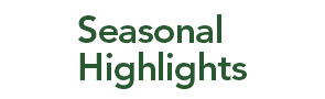 Seasonal Highlights