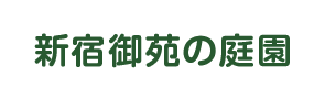 新宿御苑の庭園