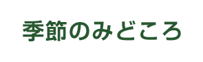 季節のみどころ