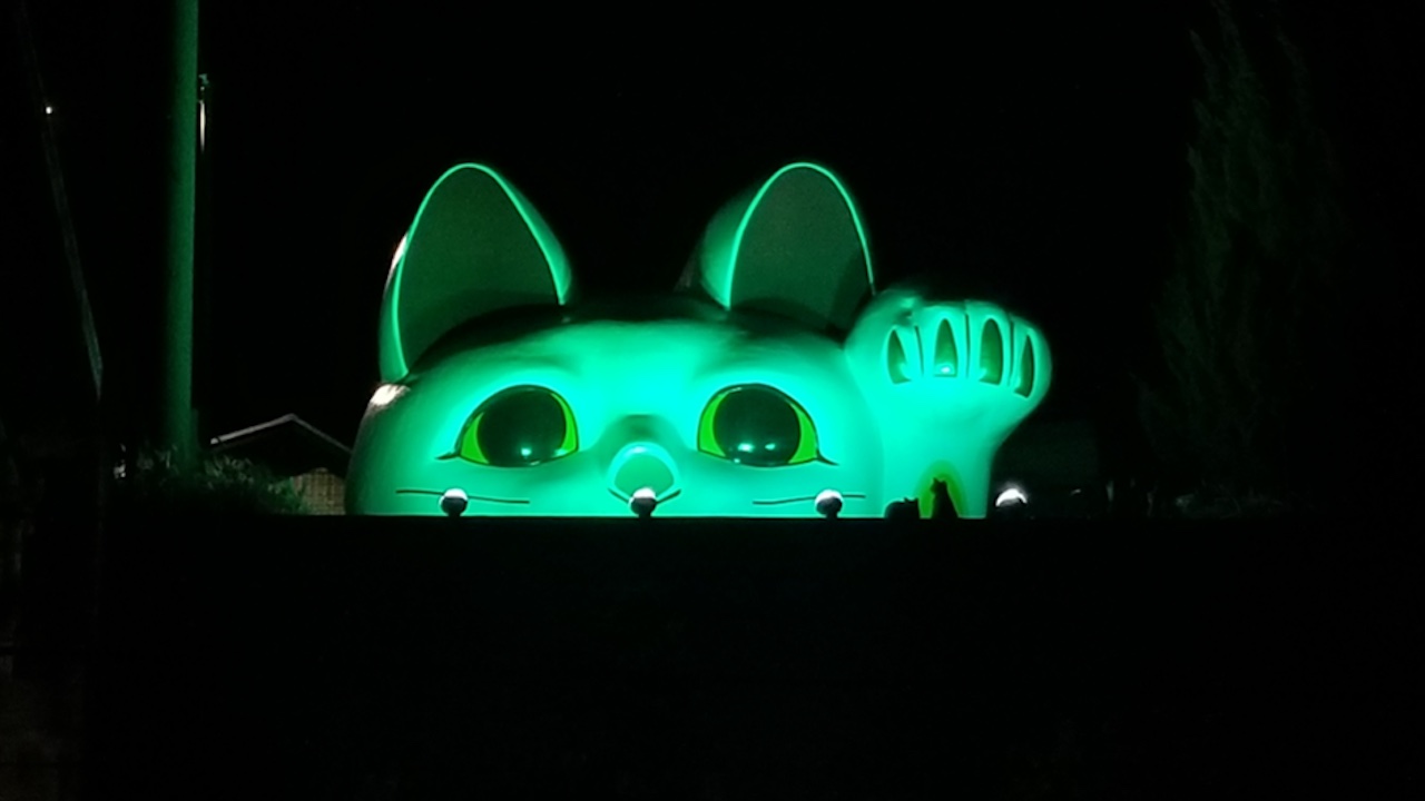 見守り猫「とこにゃん」