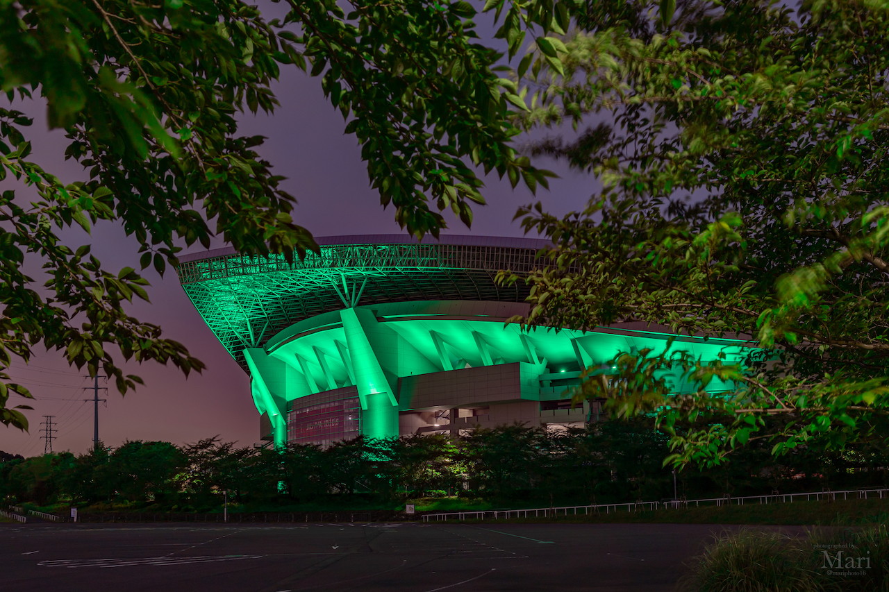 埼玉スタジアム2002