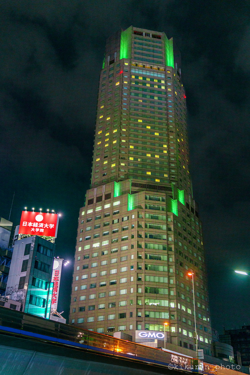 セルリアンタワー