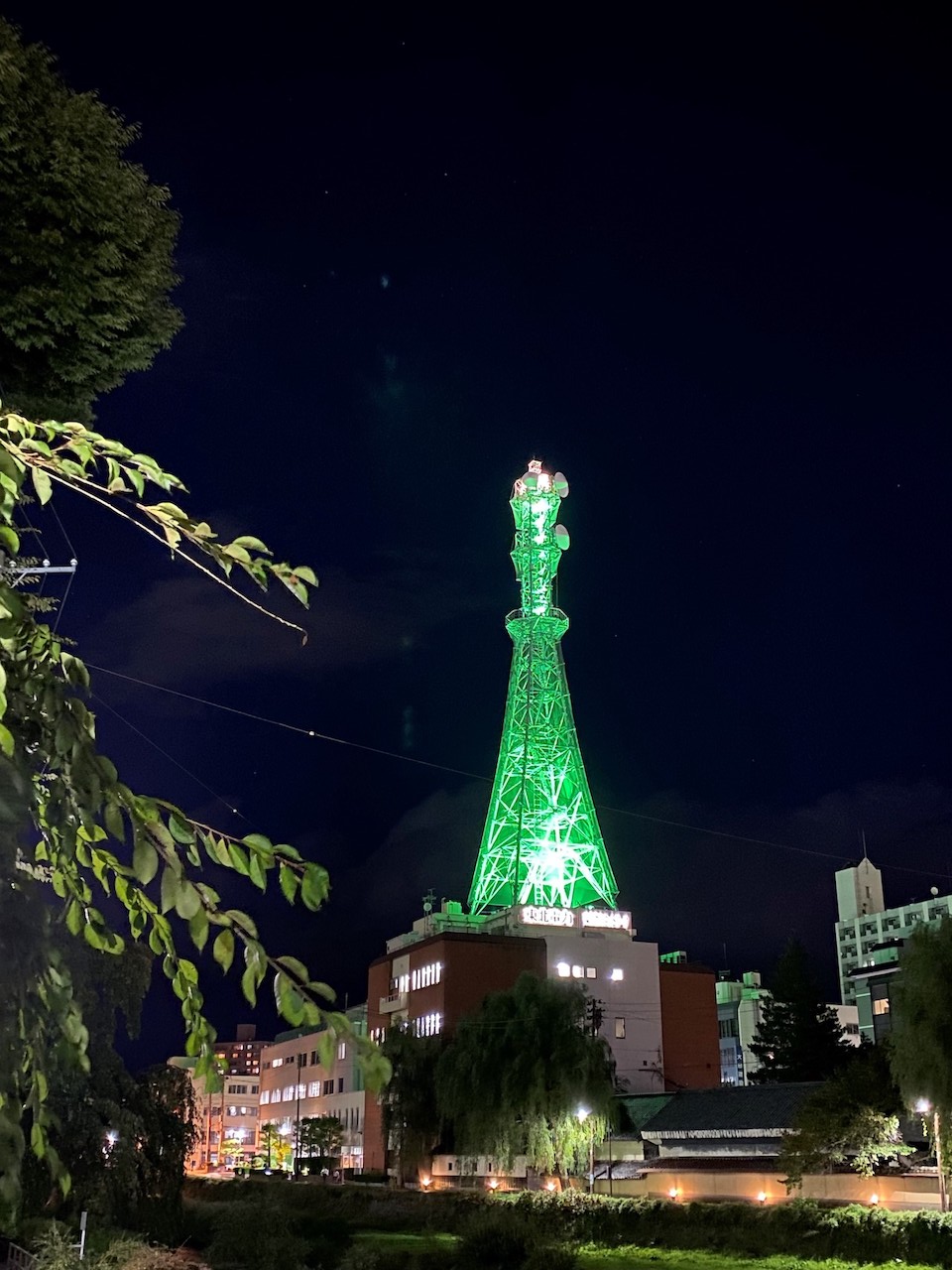 東北電力ネットワーク岩手支社　マイクロ波無線鉄塔