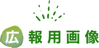 広報用画像