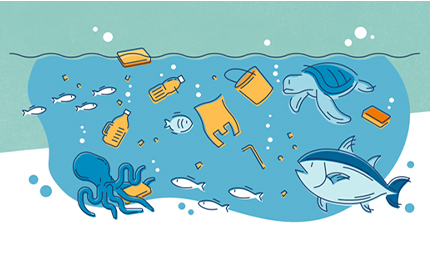 海がプラスチックで溢れる!?