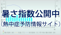 暑さ指数公開中（熱中症予防情報サイト）