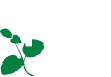 ECO FIRST