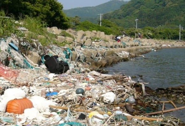 海洋プラスチックごみ