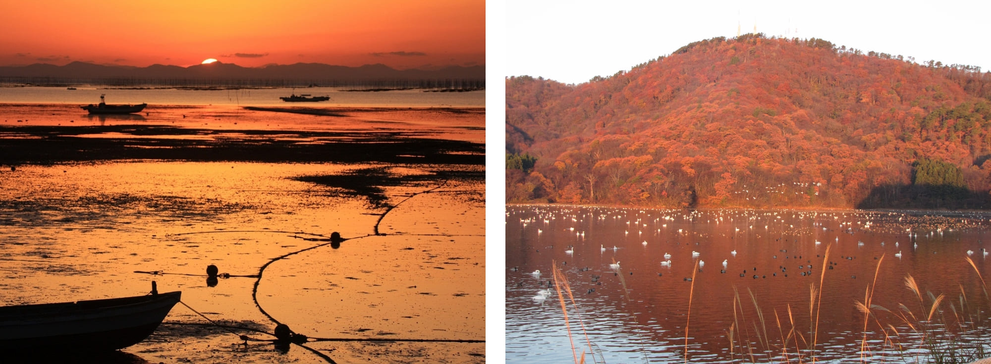 山形県の大山上池・下池